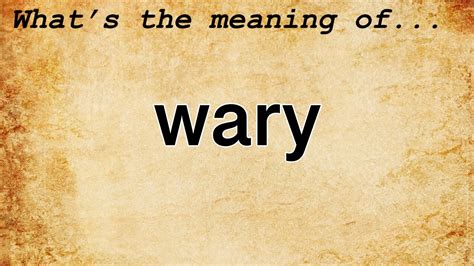 WARY English meaning - Cambridge Dictionary