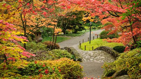 Washington Park Arboretum | University of Washington … - raincitystudios.com