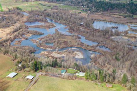 Washington State River Restoration Project to Revive … - raincitystudios.com
