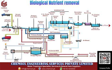 Wastewater Treatment and Nutrient Removal in Constructed ... - Nature - raincitystudios.com