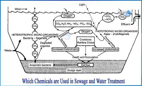 Wastewater Treatment Chemicals | Veolia - Water Technologies - raincitystudios.com