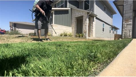 WATCH: Austin landscaping business painting lawns green
