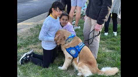 WATCH: Comfort dogs deployed to Nashville school following shooting