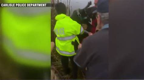 WATCH: Emergency crews rush to rescue dog trapped in Carlisle cranberry bog