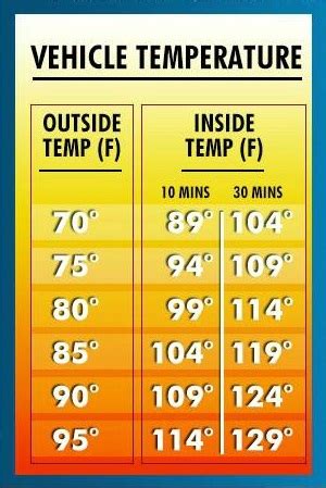 WATCH: How hot does is get inside a locked car on a warm day?