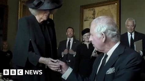 WATCH: Leaking pen bothers King Charles III at signing