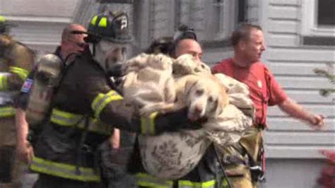 WATCH: NYS troopers save dog from house fire