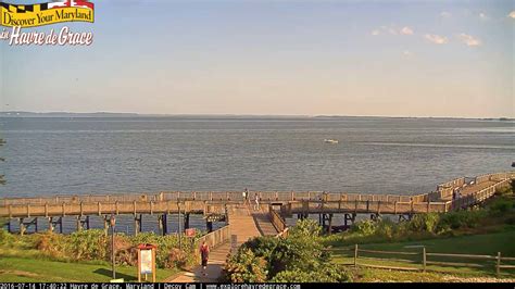 WATCH LIVE - Decoy Cam, Havre de Grace, MD, USA