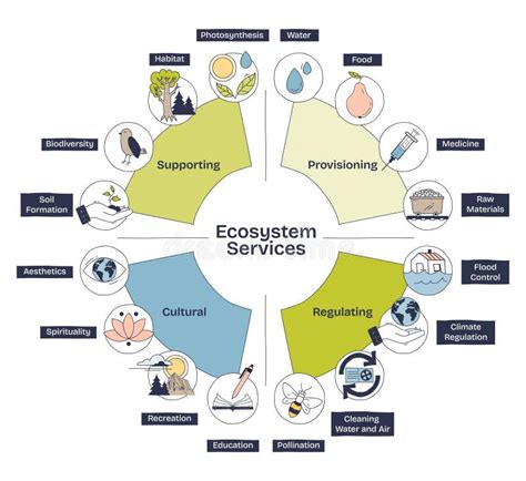 Water, Biodiversity and Ecosystem Services within Safe ... - muktibox.com