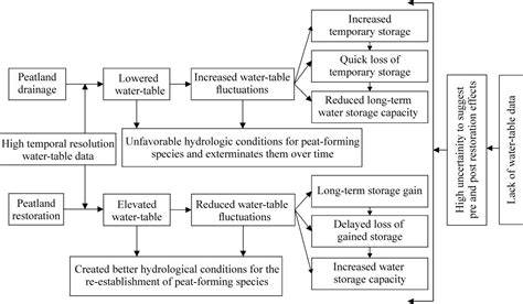 Waterâ tableâ dependent hydrological changes following peatland ... - raincitystudios.com