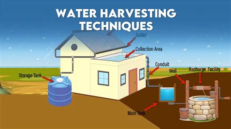 Water Collection Methods: How to Harvest & Use … - balustradellc