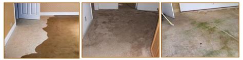 WATER DAMAGE MERRIFIELD, VA - Smart Choice Cleaning