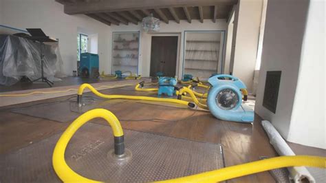 Water Damage Restoration near Linden, NJ - Better Business Bureau - muktibox.com