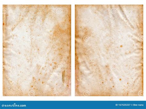 Water Damaged Paper Restoration - Fine Art … - muktibox.com