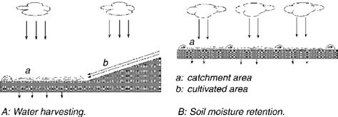 Water harvesting and soil moisture retention - raincitystudios.com