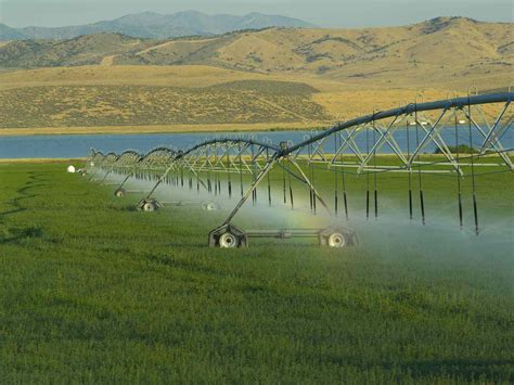 Water Investments: How to Invest in Water | Analytics Steps - balustradellc