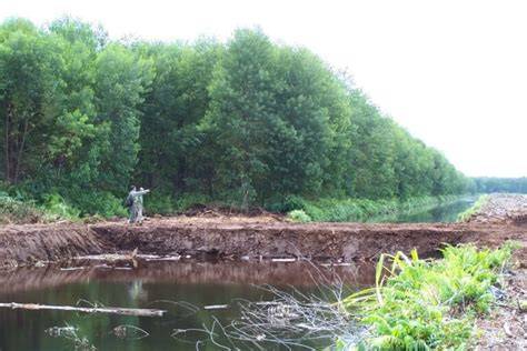 Water is key as study shows restoration of drained … - raincitystudios.com