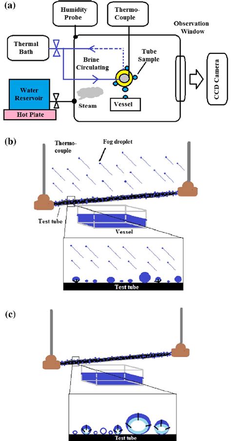 Water Portal / Rainwater Harvesting / Fog and dew collection - balustradellc
