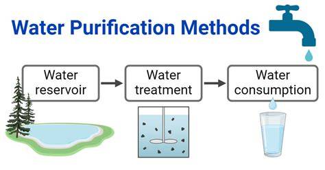 Water Purification | Practical Survivor - raincitystudios.com
