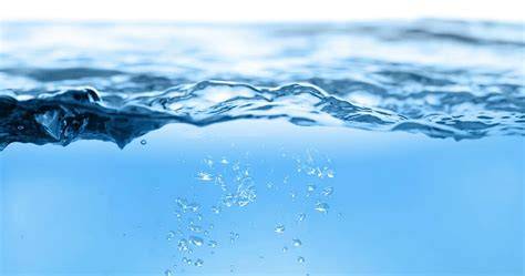 Water - Nursery Crops - raincitystudios.com