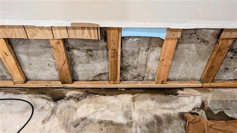 Water Resistant Basement Finishing to Reduce Flood … - balustradellc