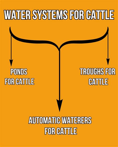 Water Systems for Cattle in 2026: New Technologies Ahead - balustradellc