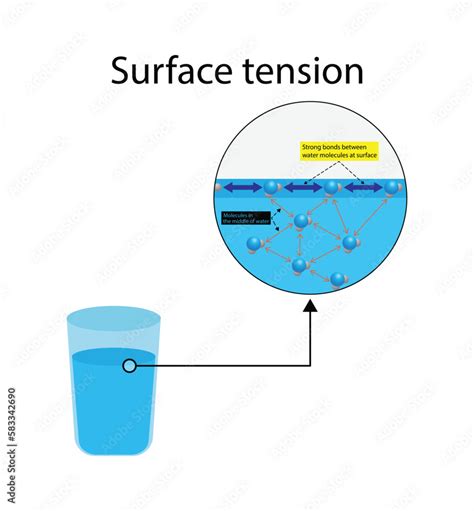 Water Tension Reduction · Theme · Swatch 1 - wintechmobiles.com