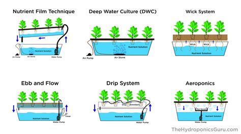 Water-Based Systems for Pest-Free Growing guide - balustradellc