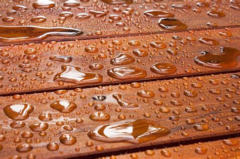 WATER-BASED WOOD COATINGS COMPLETE GUIDE