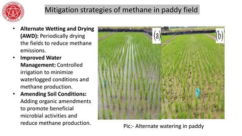 Water-saving irrigation mitigates methane emissions from paddy fields ... - wintechmobiles.com
