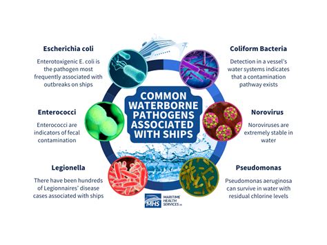 Waterborne Pathogens - ScienceDirect - muktibox.com