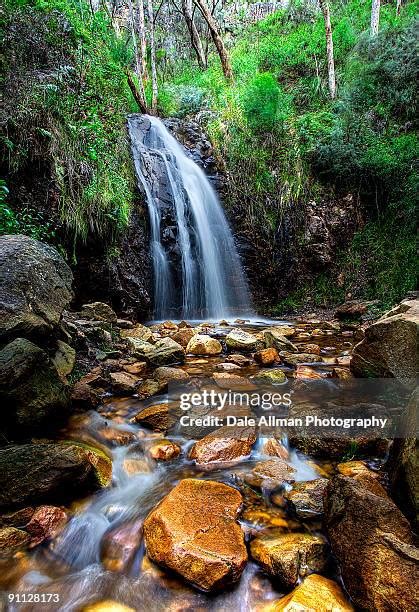 Waterfall Gully - National Parks and Wildlife Service … - raincitystudios.com