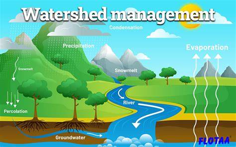 Watershed Management | Geography - raincitystudios.com