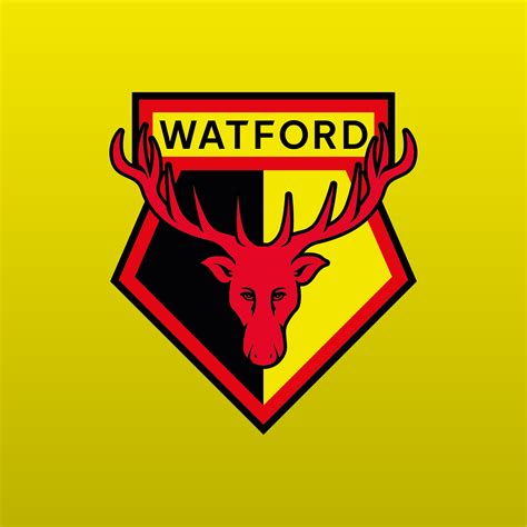 Watford FC - Leicester City: Live Stream & on TV today - muktibox.com