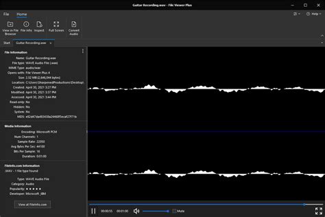 WAV WAVE Files What They Are How to Open Them 