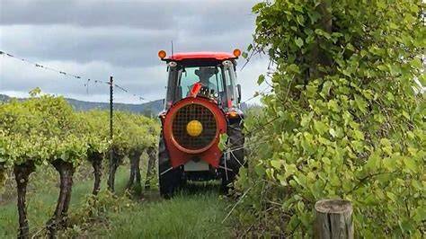 Ways Sprayer Tech Is Coming up Fruitful in Orchards - raincitystudios.com