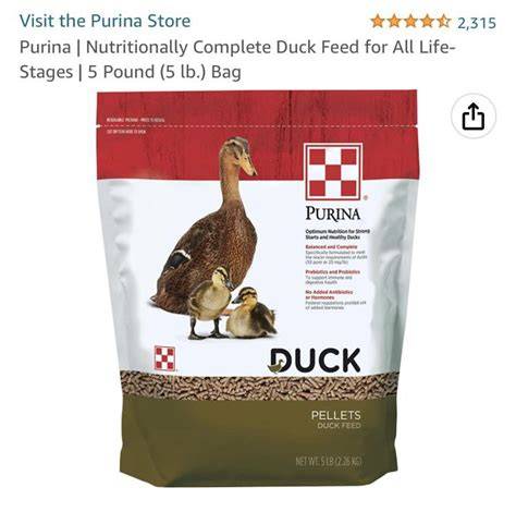 Ways to cut protein percentage down in feed for ducklings - - raincitystudios.com