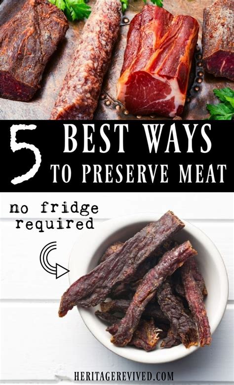 Ways To Preserve Meat Without Refrigeration - I Like To Dabble - balustradellc