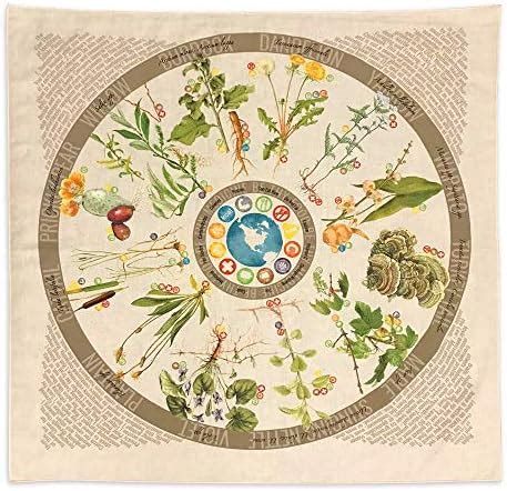 Wazoo Foraging Bandana with 12 Common Edible - muktibox.com