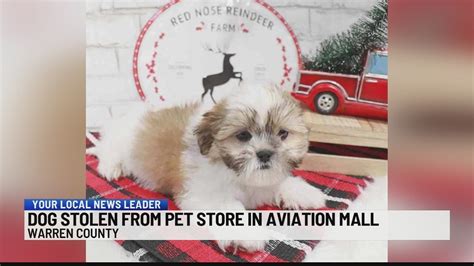 WCSO: Dog stolen from mall pet store