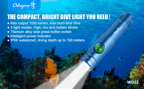 WD12 Dive Light - 1400 Lumens Compact Scuba Diving Backup - balustradellc