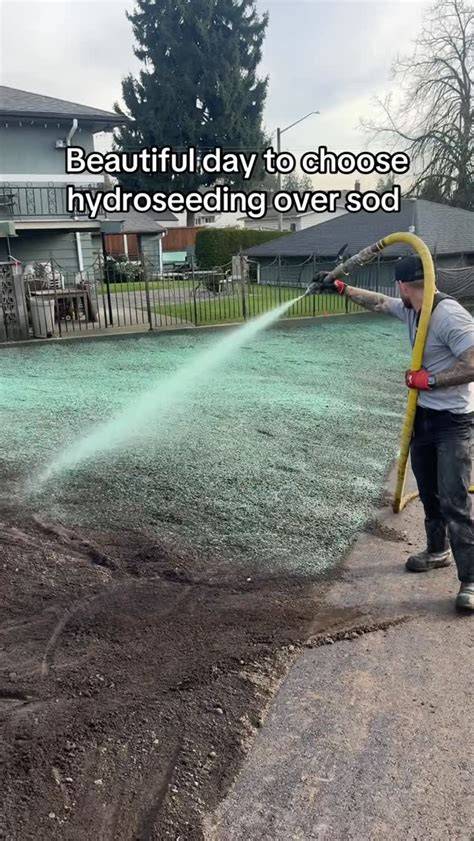 We’ve done it all when it comes to seeding and compared to SOD ... - raincitystudios.com