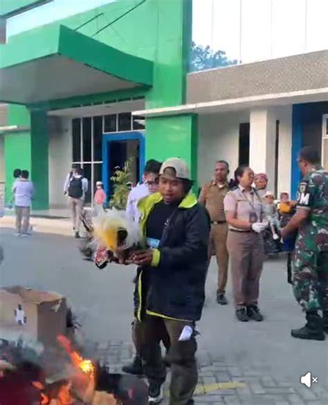 We are deeply grateful that the confiscated animals from Papua have ... - raincitystudios.com
