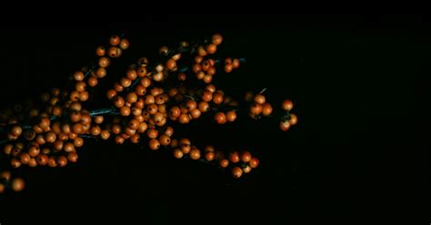 We Cannot Cling to Bitterness and God - Desiring God - balustradellc