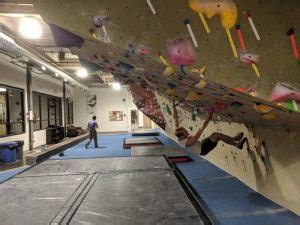 We Conducted a Blinded Field Test of the 7 Best … - balustradellc