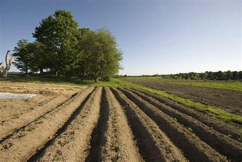 We will protect farm agricultural land from developments such as rare ... - balustradellc