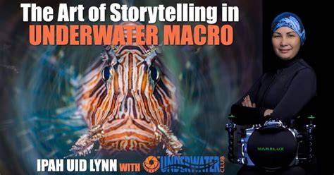 Webinar 2026-04: The Art of Storytelling in Underwater Macro ... - raincitystudios.com