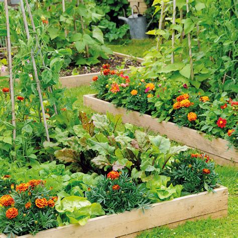 Weed-Proofing a Vegetable Garden - Today's Homeowner - raincitystudios.com