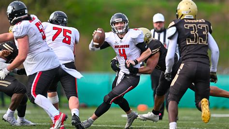 Week4&5stat (m) - CliffsNotes - wintechmobiles.com