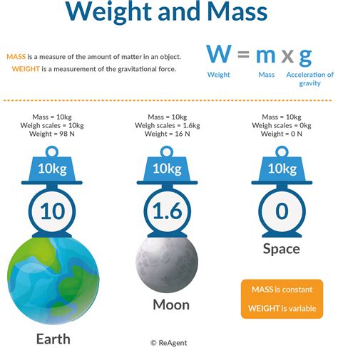 Weight and mass - Forces and movement - KS3 … - wintechmobiles.com